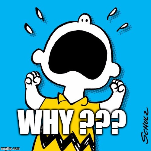 Why? | WHY ??? | image tagged in charlie brown | made w/ Imgflip meme maker