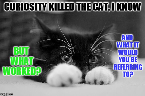 CURIOSITY KILLED THE CAT, I KNOW BUT WHAT WORKED? AND WHAT IT WOULD YOU BE REFERRING TO? | made w/ Imgflip meme maker