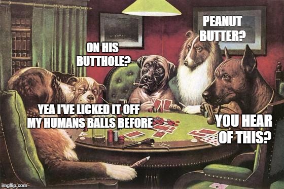 Dogs, peanut butter and humans | PEANUT BUTTER? ON HIS BUTTHOLE? YEA I'VE LICKED IT OFF MY HUMANS BALLS BEFORE; YOU HEAR OF THIS? | image tagged in pokerdogs,ass,balls,funny | made w/ Imgflip meme maker