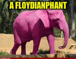 A FLOYDIANPHANT | made w/ Imgflip meme maker