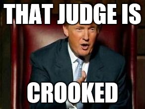 Donald Trump | THAT JUDGE IS; CROOKED | image tagged in donald trump | made w/ Imgflip meme maker