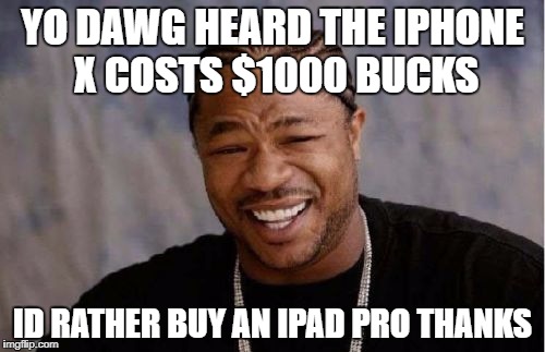 its so cool but so expensive! | YO DAWG HEARD THE IPHONE X COSTS $1000 BUCKS; ID RATHER BUY AN IPAD PRO THANKS | image tagged in memes,yo dawg heard you,iphone x | made w/ Imgflip meme maker