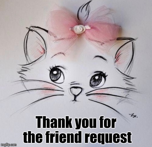 Thank you for the friend request | made w/ Imgflip meme maker