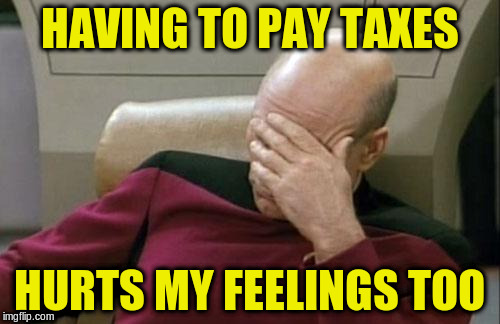 Captain Picard Facepalm Meme | HAVING TO PAY TAXES HURTS MY FEELINGS TOO | image tagged in memes,captain picard facepalm | made w/ Imgflip meme maker