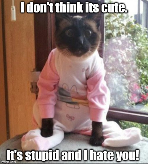 cats pajamas |  I don't think its cute. It's stupid and I hate you! | image tagged in cats pajamas | made w/ Imgflip meme maker