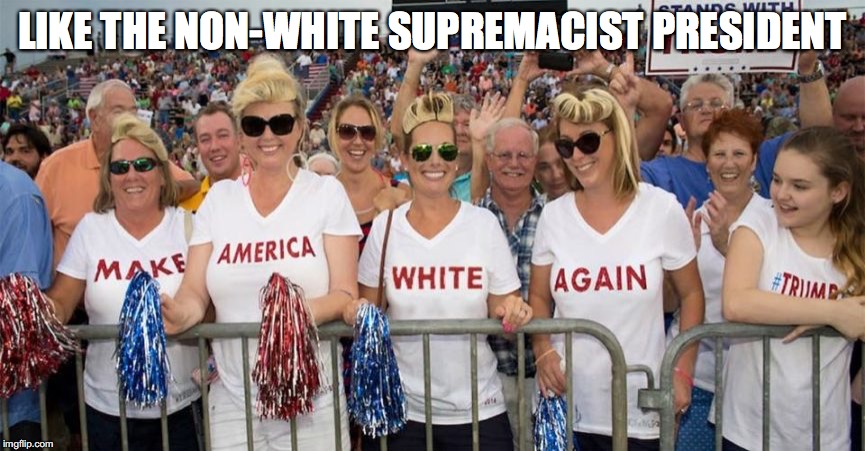 TRUMP VOTERS | LIKE THE NON-WHITE SUPREMACIST PRESIDENT | image tagged in donald trump | made w/ Imgflip meme maker