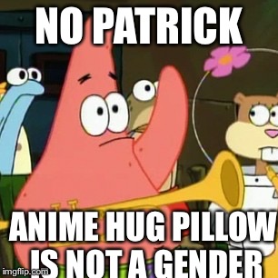 No Patrick Meme | NO PATRICK; ANIME HUG PILLOW IS NOT A GENDER | image tagged in memes,no patrick | made w/ Imgflip meme maker