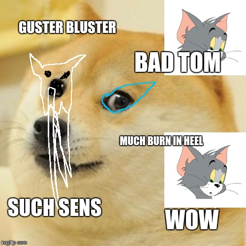 Doge | GUSTER BLUSTER; BAD TOM; MUCH BURN IN HEEL; SUCH SENS; WOW | image tagged in memes,doge | made w/ Imgflip meme maker