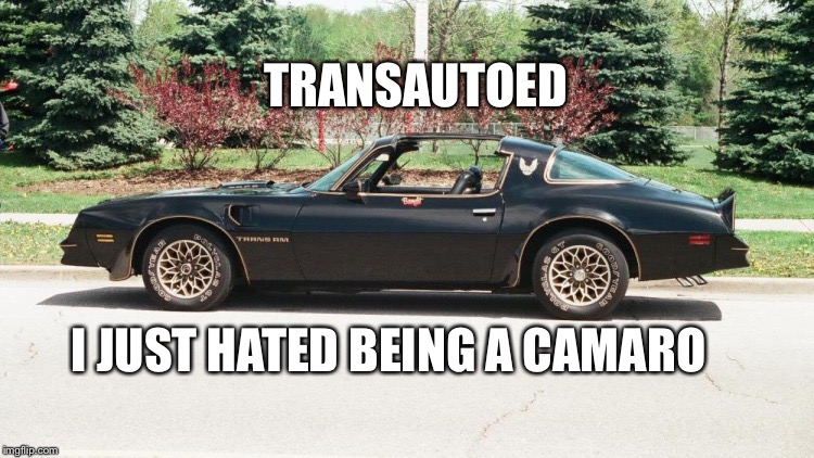 77 Trans Am | TRANSAUTOED; I JUST HATED BEING A CAMARO | image tagged in 77 trans am | made w/ Imgflip meme maker