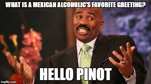 Steve Harvey Meme | WHAT IS A MEXICAN ALCOHOLIC'S FAVORITE GREETING? HELLO PINOT | image tagged in memes,steve harvey | made w/ Imgflip meme maker
