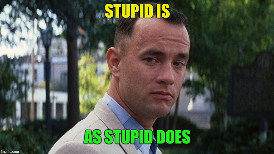 STUPID IS AS STUPID DOES | made w/ Imgflip meme maker