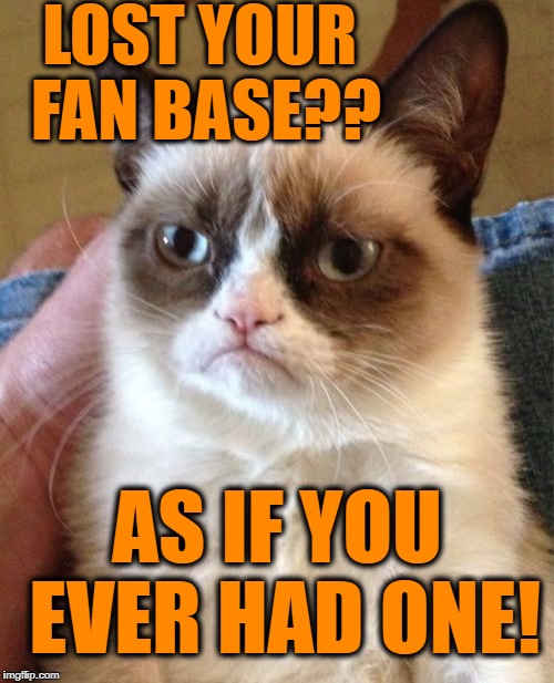 Grumpy Cat Meme | LOST YOUR FAN BASE?? AS IF YOU EVER HAD ONE! | image tagged in memes,grumpy cat | made w/ Imgflip meme maker