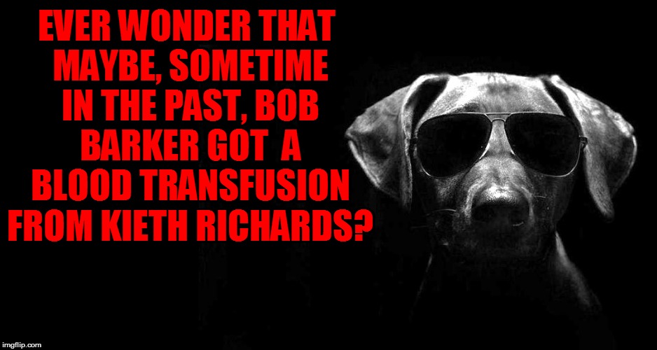 EVER WONDER THAT MAYBE, SOMETIME IN THE PAST, BOB BARKER GOT  A BLOOD TRANSFUSION FROM KIETH RICHARDS? | made w/ Imgflip meme maker