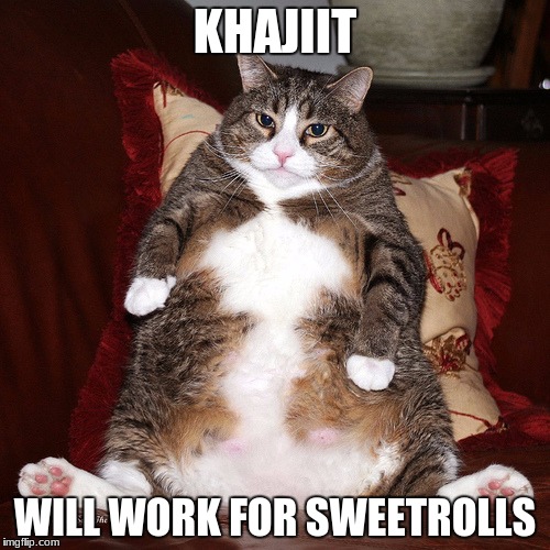 This One Needs Job | KHAJIIT; WILL WORK FOR SWEETROLLS | image tagged in khajiit,work needed,plz | made w/ Imgflip meme maker