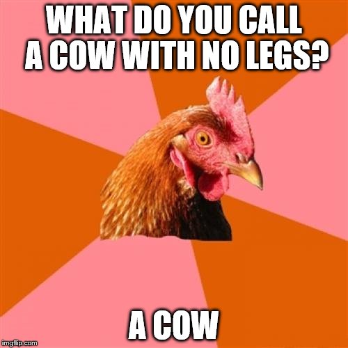 Anti Joke Chicken Meme | WHAT DO YOU CALL A COW WITH NO LEGS? A COW | image tagged in memes,anti joke chicken | made w/ Imgflip meme maker