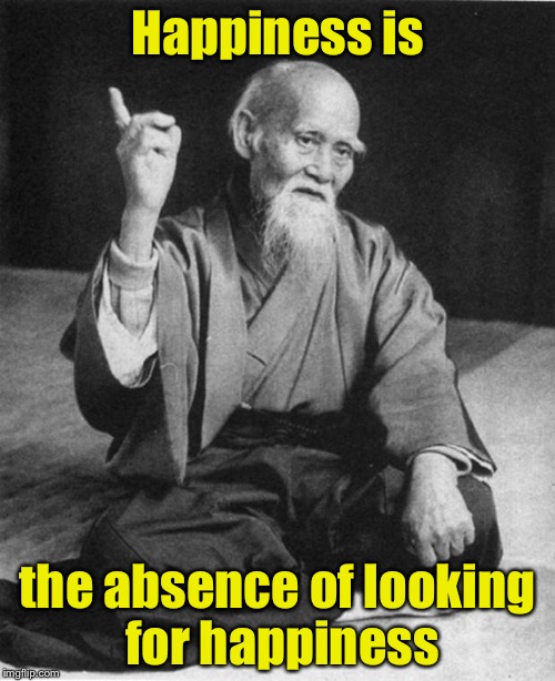 So, if you want to be happy, stop looking for it? | Happiness is; the absence of looking for happiness | image tagged in wise master,memes,happiness,deep thoughts | made w/ Imgflip meme maker