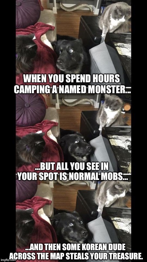 MMOs | WHEN YOU SPEND HOURS CAMPING A NAMED MONSTER... ...BUT ALL YOU SEE IN YOUR SPOT IS NORMAL MOBS... ...AND THEN SOME KOREAN DUDE ACROSS THE MAP STEALS YOUR TREASURE. | image tagged in dog,cat,funny | made w/ Imgflip meme maker