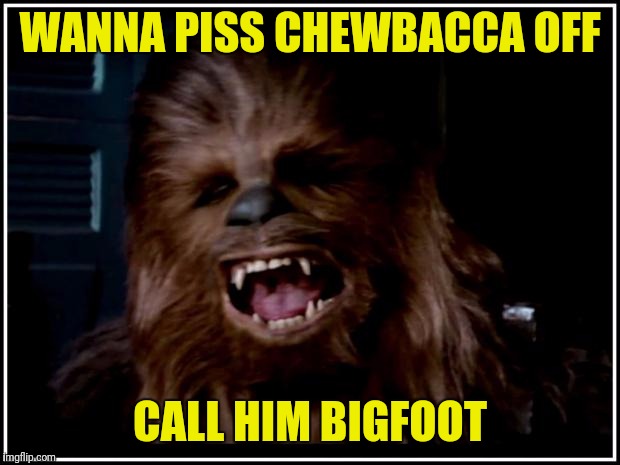 chewbacca | WANNA PISS CHEWBACCA OFF; CALL HIM BIGFOOT | image tagged in chewbacca | made w/ Imgflip meme maker