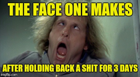 Scary Harry Meme | THE FACE ONE MAKES; AFTER HOLDING BACK A SHIT FOR 3 DAYS | image tagged in memes,scary harry | made w/ Imgflip meme maker