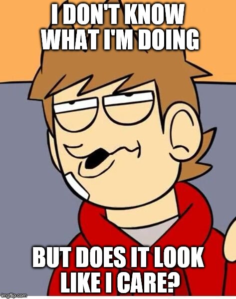 Eddsworld | I DON'T KNOW WHAT I'M DOING BUT DOES IT LOOK LIKE I CARE? | image tagged in eddsworld | made w/ Imgflip meme maker