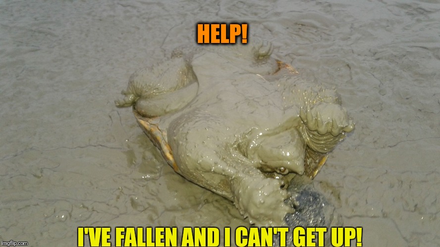 HELP! I'VE FALLEN AND I CAN'T GET UP! | image tagged in on my back | made w/ Imgflip meme maker