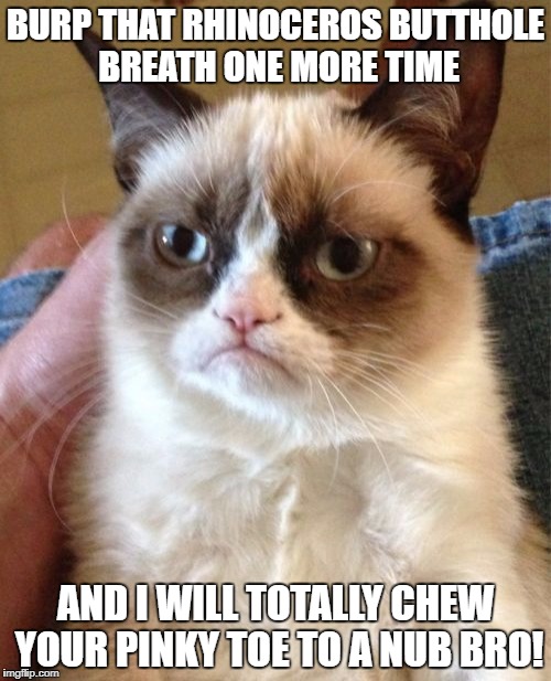 Grumpy Cat Meme | BURP THAT RHINOCEROS BUTTHOLE BREATH ONE MORE TIME; AND I WILL TOTALLY CHEW YOUR PINKY TOE TO A NUB BRO! | image tagged in memes,grumpy cat | made w/ Imgflip meme maker