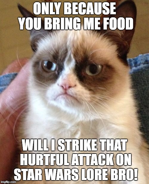 Grumpy Cat Meme | ONLY BECAUSE YOU BRING ME FOOD; WILL I STRIKE THAT HURTFUL ATTACK ON STAR WARS LORE BRO! | image tagged in memes,grumpy cat | made w/ Imgflip meme maker