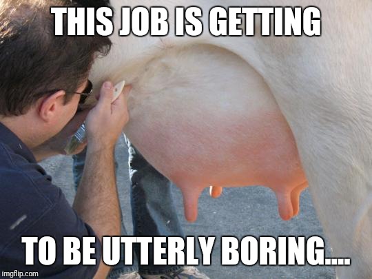 Utterly  | THIS JOB IS GETTING; TO BE UTTERLY BORING.... | image tagged in futurama fry,funny memes,batman slapping robin,the most interesting man in the world | made w/ Imgflip meme maker