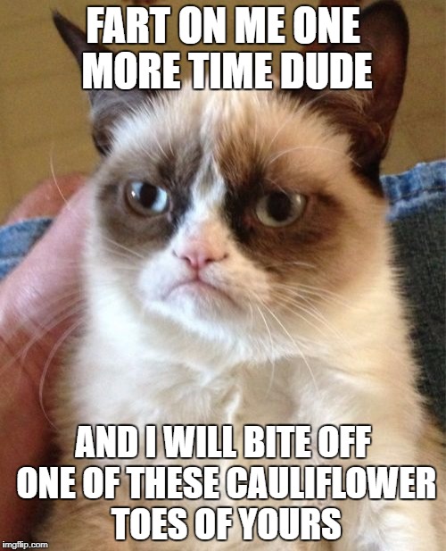 Grumpy Cat Meme | FART ON ME ONE MORE TIME DUDE; AND I WILL BITE OFF ONE OF THESE CAULIFLOWER TOES OF YOURS | image tagged in memes,grumpy cat | made w/ Imgflip meme maker