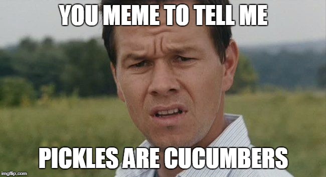 Mark Wahlburg confused | YOU MEME TO TELL ME; PICKLES ARE CUCUMBERS | image tagged in mark wahlburg confused | made w/ Imgflip meme maker