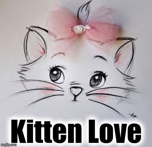 Kitten Love | made w/ Imgflip meme maker