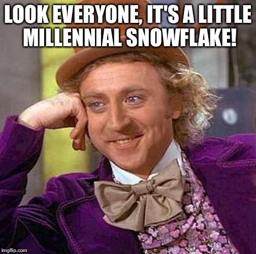 Creepy Condescending Wonka | LOOK EVERYONE, IT'S A LITTLE MILLENNIAL SNOWFLAKE! | image tagged in memes,creepy condescending wonka | made w/ Imgflip meme maker