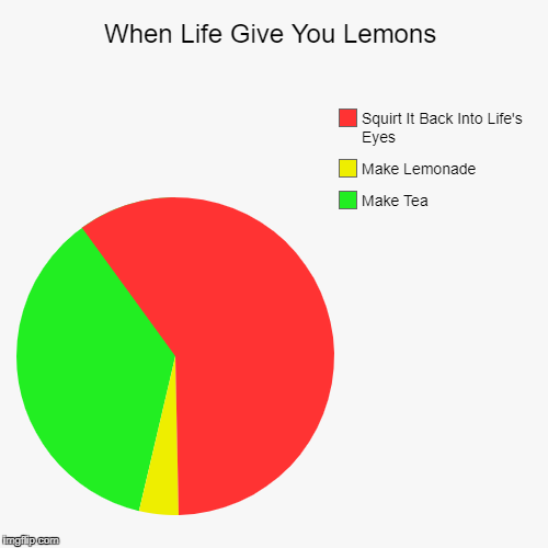 image tagged in funny,pie charts | made w/ Imgflip chart maker