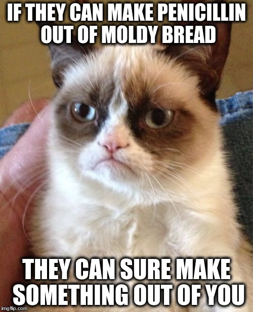 Grumpy Cat Meme | IF THEY CAN MAKE PENICILLIN OUT OF MOLDY BREAD; THEY CAN SURE MAKE SOMETHING OUT OF YOU | image tagged in memes,grumpy cat | made w/ Imgflip meme maker