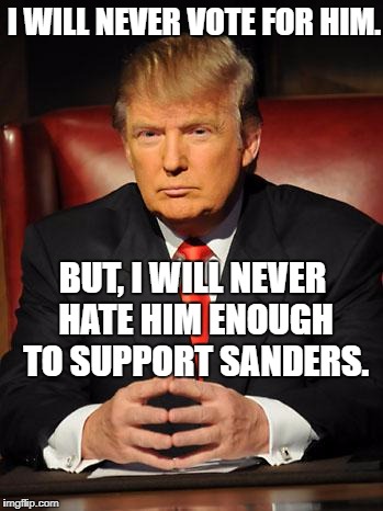 Serious Trump | I WILL NEVER VOTE FOR HIM. BUT, I WILL NEVER HATE HIM ENOUGH TO SUPPORT SANDERS. | image tagged in serious trump | made w/ Imgflip meme maker