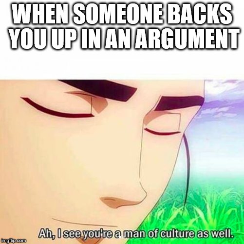 Ah,I see you are a man of culture as well | WHEN SOMEONE BACKS YOU UP IN AN ARGUMENT | image tagged in ah i see you are a man of culture as well | made w/ Imgflip meme maker