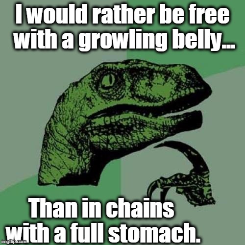 Philosoraptor | I would rather be free with a growling belly... Than in chains with a full stomach. | image tagged in memes,philosoraptor,socialism,communism,freedom,constitution | made w/ Imgflip meme maker