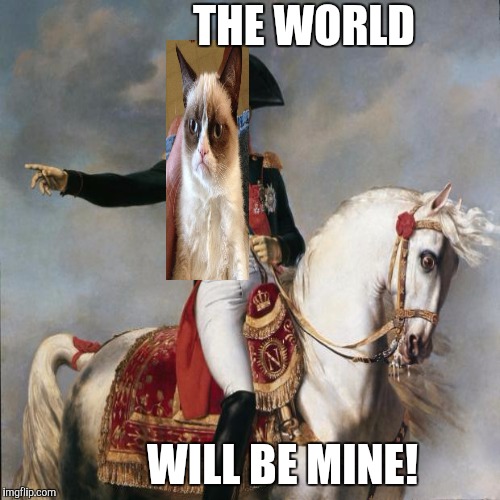 AMBITION :D | THE WORLD; WILL BE MINE! | image tagged in funny,cats,animals,humor,history,memes | made w/ Imgflip meme maker