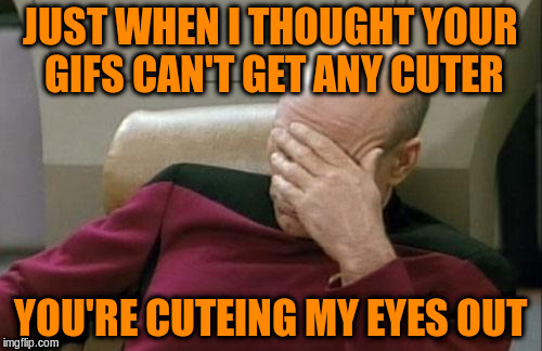 Captain Picard Facepalm Meme | JUST WHEN I THOUGHT YOUR GIFS CAN'T GET ANY CUTER YOU'RE CUTEING MY EYES OUT | image tagged in memes,captain picard facepalm | made w/ Imgflip meme maker