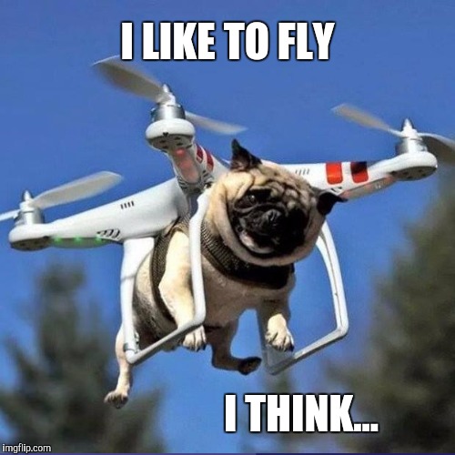OH THE AMBIVALENCE! :D | I LIKE TO FLY I THINK... | image tagged in funny,dogs,animals,humor,pets,memes | made w/ Imgflip meme maker