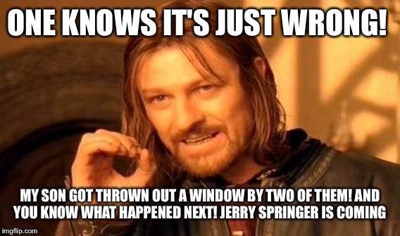 One Does Not Simply Meme | ONE KNOWS IT'S JUST WRONG! MY SON GOT THROWN OUT A WINDOW BY TWO OF THEM! AND YOU KNOW WHAT HAPPENED NEXT! JERRY SPRINGER IS COMING | image tagged in memes,one does not simply | made w/ Imgflip meme maker