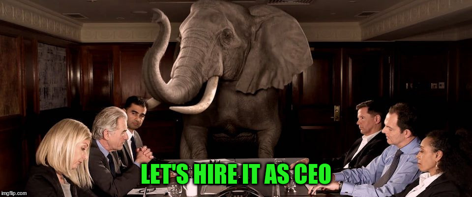 LET'S HIRE IT AS CEO | made w/ Imgflip meme maker