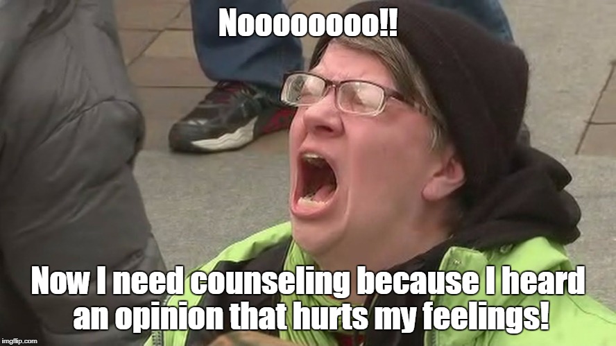 Noooo | Noooooooo!! Now I need counseling because I heard an opinion that hurts my feelings! | image tagged in noooo | made w/ Imgflip meme maker