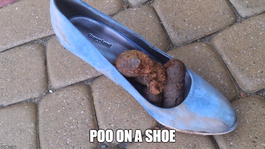 POO ON A SHOE | made w/ Imgflip meme maker