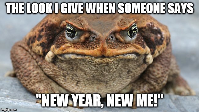 l | THE LOOK I GIVE WHEN SOMEONE SAYS; "NEW YEAR, NEW ME!" | image tagged in pie charts | made w/ Imgflip meme maker