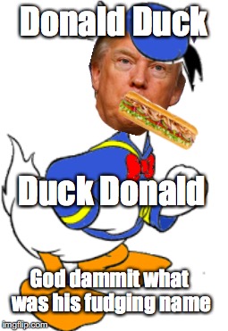 What was his name | Donald Duck; Duck Donald; God dammit what was his fudging name | image tagged in donald trump,donald duck | made w/ Imgflip meme maker