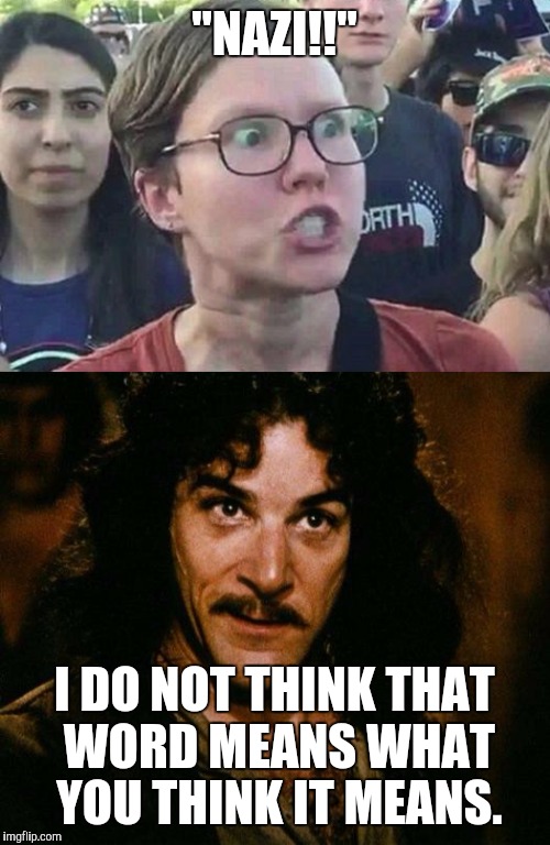 "NAZI!!"; I DO NOT THINK THAT WORD MEANS WHAT YOU THINK IT MEANS. | image tagged in inigo montoya,triggered,college liberal,triggered liberal,nazi | made w/ Imgflip meme maker