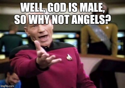 Picard Wtf Meme | WELL, GOD IS MALE, SO WHY NOT ANGELS? | image tagged in memes,picard wtf | made w/ Imgflip meme maker