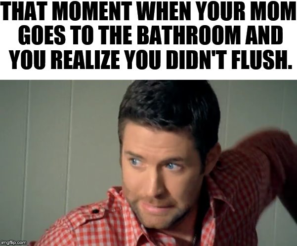 Josh Turner meme | THAT MOMENT WHEN YOUR MOM GOES TO THE BATHROOM AND YOU REALIZE YOU DIDN'T FLUSH. | image tagged in that moment when | made w/ Imgflip meme maker