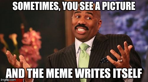 Steve Harvey Meme | SOMETIMES, YOU SEE A PICTURE; AND THE MEME WRITES ITSELF | image tagged in memes,steve harvey | made w/ Imgflip meme maker